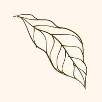 Leaf Ornament Vector Art. Hand drawn leave. leaf line. Leaf outline ornament vector. Vector hand drawn black line design elements.