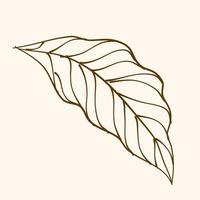 Leaf Ornament Vector Art. Hand drawn leave. leaf line. Leaf outline ornament vector. Vector hand drawn black line design elements.