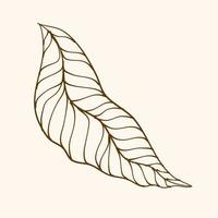 Leaf Ornament Vector Art. Hand drawn leave. leaf line. Leaf outline ornament vector. Vector hand drawn black line design elements.