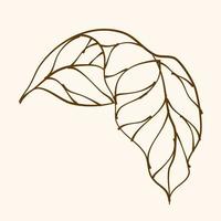 Leaf Ornament Vector Art. Hand drawn leave. leaf line. Leaf outline ornament vector. Vector hand drawn black line design elements.