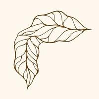 Leaf Ornament Vector Art. Hand drawn leave. leaf line. Leaf outline ornament vector. Vector hand drawn black line design elements.