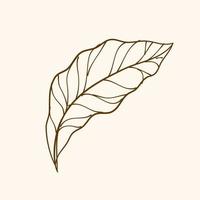 Leaf Ornament Vector Art. Hand drawn leave. leaf line. Leaf outline ornament vector. Vector hand drawn black line design elements.