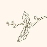 rama de planta de café con hoja. rama de café dibujada a mano. granos de café y hojas. ilustración de árbol planta de cafe vector de árbol de café. ilustración vectorial de la rama de café. rama con hojas.