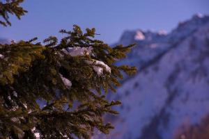 Winter sunrise view photo