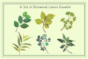 a set of hand drawn leaves illustration vector