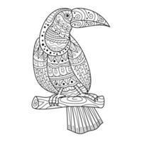 Toucan line art vector