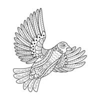 Humming bird line art vector