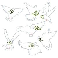 White dove of peace with olive branch vector set