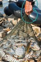 Fisherman hold fish photo