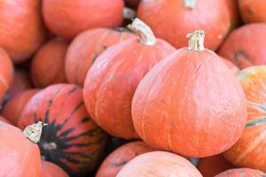 Bunch of orange pumpkins for sale photo