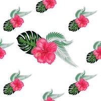 patrones sin fisuras con hojas tropicales, flores de hibisco vector