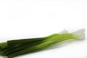 Organically grown green onions for seasoning and flavoring and garnishing to make food more beautiful and appetizing on a white background taken in my home studio. photo