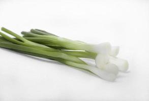 cebollas verdes cultivadas orgánicamente para condimentar y aromatizar y adornar para hacer que la comida sea más hermosa y apetitosa sobre un fondo blanco tomado en mi estudio de casa. foto