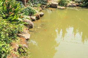 koi fish in garden pond decorative landscape design photo