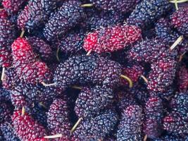 fresh mulberry closeup background photo