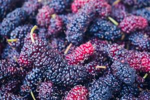 fresh mulberry closeup background photo