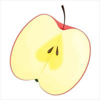 Half an apple. Vector illustration isolated on white background.