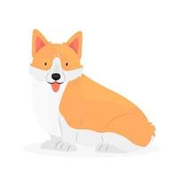 Dog breed corgi with his tongue hanging out is sitting. The character is a dog isolated on a white background. Vector animal illustration.