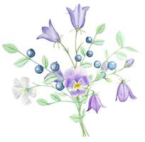 Bouquet of wild blueberries and flowers. Wild bouquet. Watercolor vector