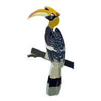 It's a beautiful hornbill picture. vector