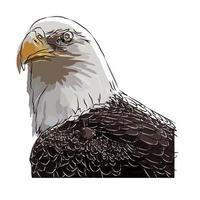 es una hermosa imagen de águila. vector