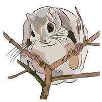 It's a beautiful Northern flying squirrel picture. vector