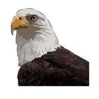 It's a beautiful eagle picture. vector