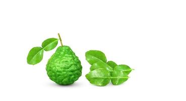 kaffir lime fruit with stems and leaves isolated on white background and space for text input photo