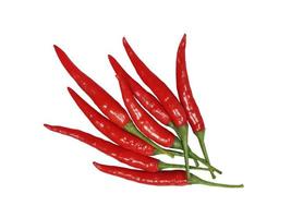 Hot chili peppers. Whole chili peppers, isolated on white, red curry paste. photo