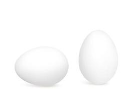 2 huevos de pato aislado sobre un fondo blanco. foto