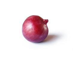 red onion close-up isolated on white background photo