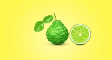 bergamot with stems and leaves isolated on a yellow background photo