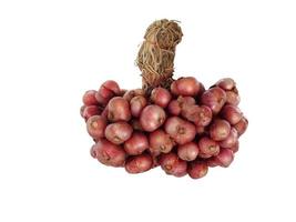 bunch of shallots, shallots in clusters isolated on white background photo