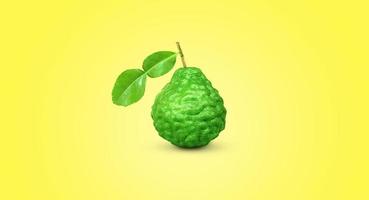 bergamot with stems and leaves isolated on a yellow background photo