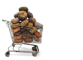 carrito de compras con calabazas aisladas en fondo blanco con área de entrada de texto foto