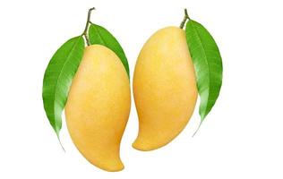 Ripe Mango with green leaf isolated on white background. Clipping path. photo