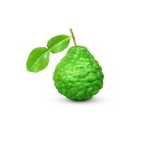 kaffir lime fruit with stems and leaves isolated on white background and space for text input photo