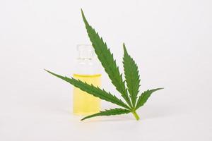 hemp medicinal oil and green leaf on white background photo