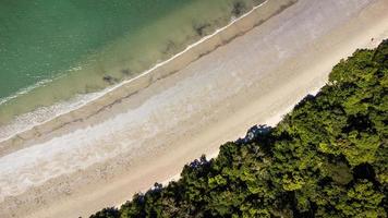 Top down photo of Cape Tribulation Beach QLD