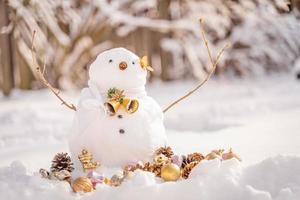 Merry Christmas and happy New Year greeting card with copy-space.Many snowmen standing in winter Christmas landscape.Winter background.Snowman with Dry Flower and pine . Happy holiday and celebration. photo