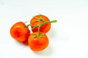 tometoes isolate on white background. bunch the red tometos isolated in white background its fresh nutritious and citrious photo