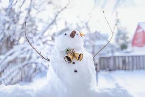 Merry Christmas and happy New Year greeting card with copy-space.Many snowmen standing in winter Christmas landscape.Winter background.Snowman with Dry Flower and pine . Happy holiday and celebration. photo