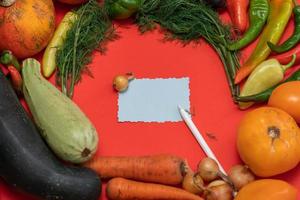 Vegetables are laid out around a sheet of paper and a pencil. Empty space for text. Vegetables, empty blank for recipe  on a red background. photo