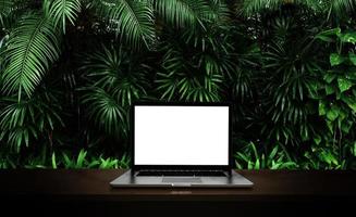 Modern laptop  isolated on green leaf background. 3D illustration. photo