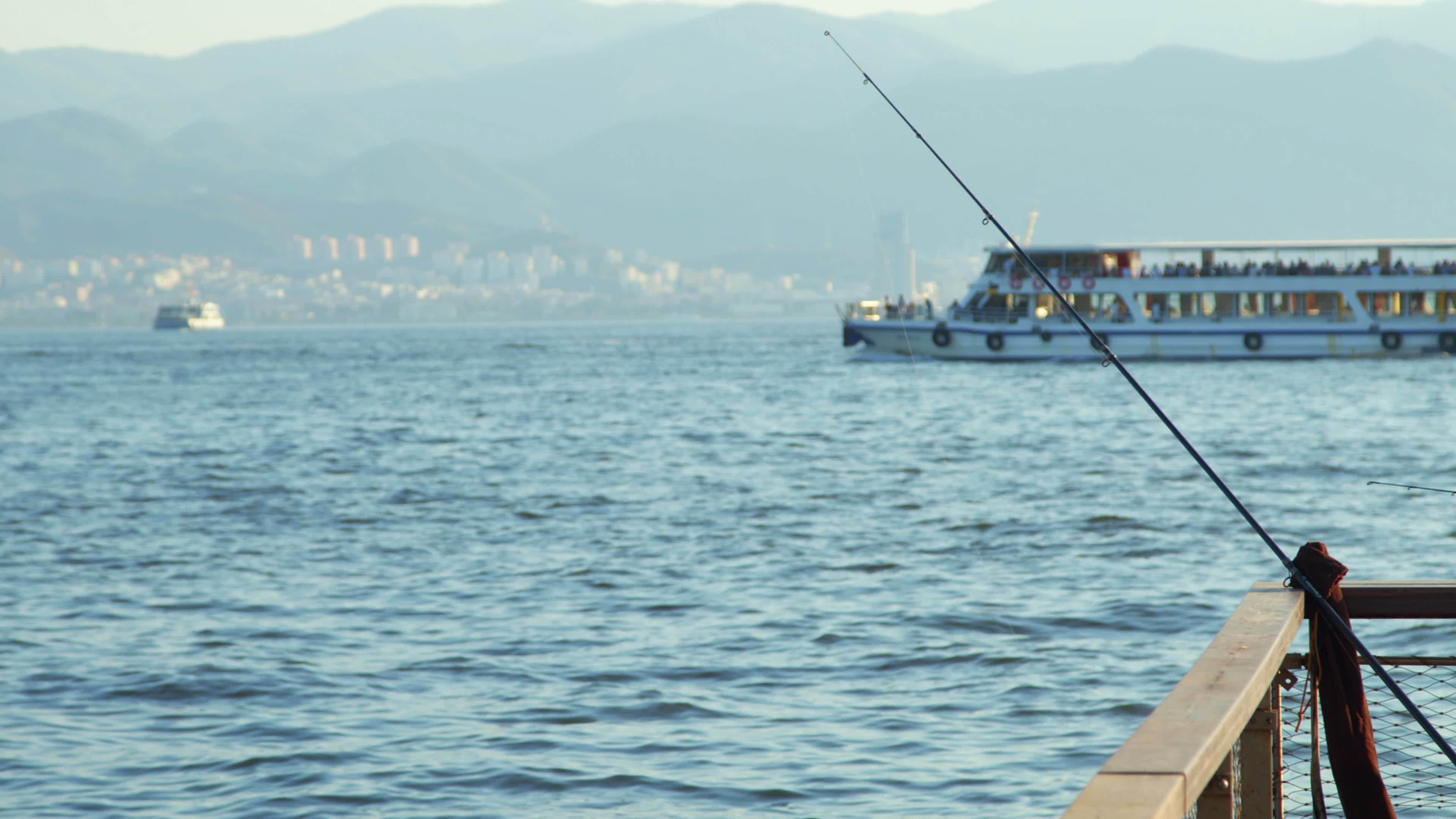 Fishing Rods Fishing in the Sea 11835214 Stock Video at Vecteezy