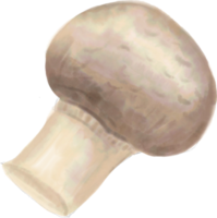 watercolor painting of mushroom vegetable. png