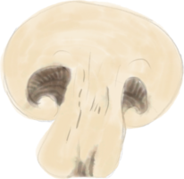 aquarelle de légume champignon. png