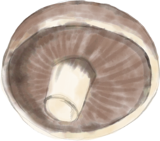 watercolor painting of mushroom vegetable. png