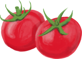 pintura acuarela de vegetales de tomate.