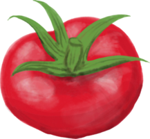 Aquarellmalerei von Tomatengemüse. png